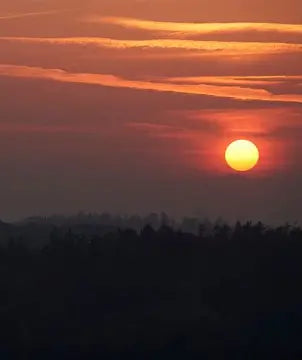 Premium Sunset Scoop